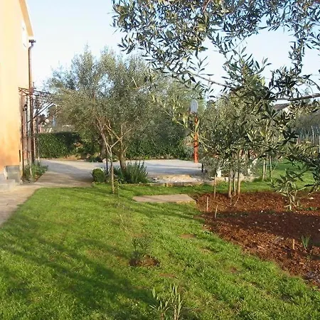Oleander App A1 *