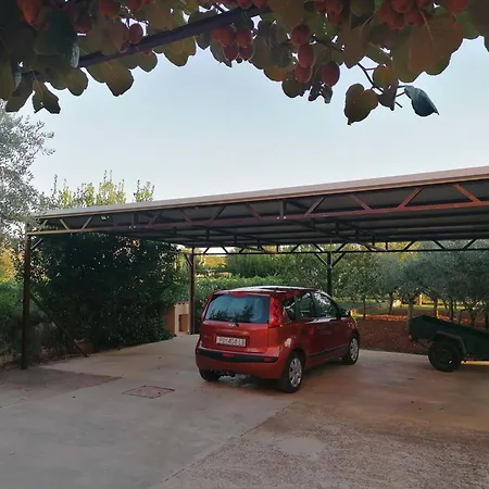 Oleander App A1 * Pula